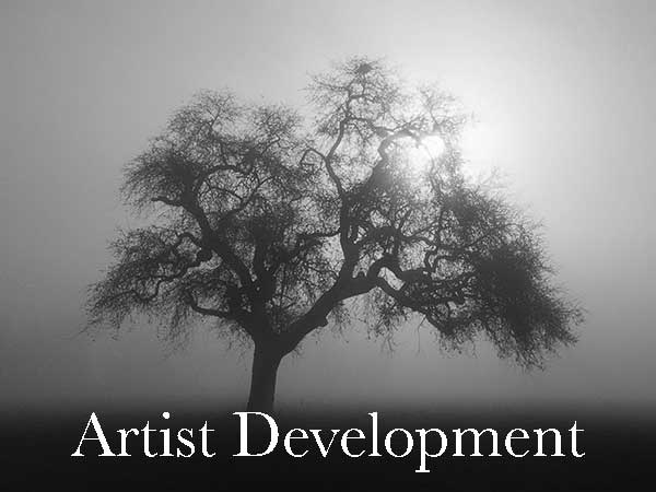 Creative Artist Development